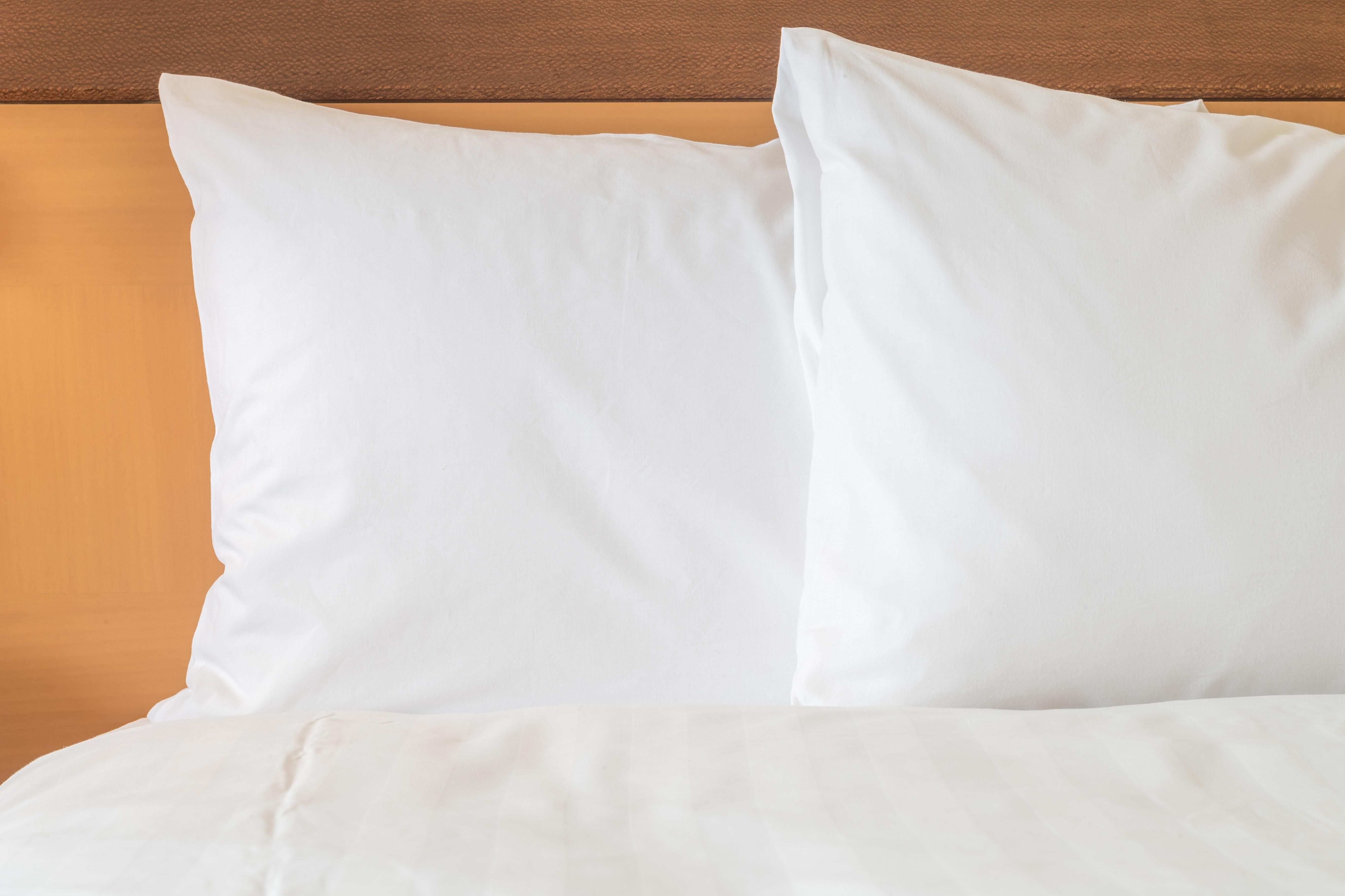 Holiday Inn Express Hotel & Suites Philadelphia - King Of Prussia By Ihg Eksteriør billede